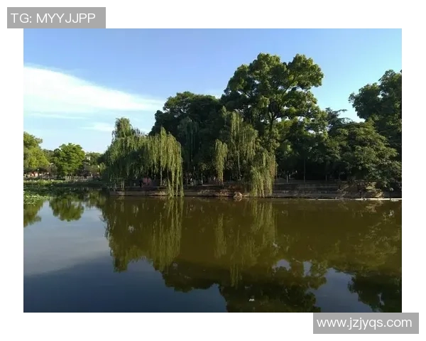 谢什科的传奇人生与他在足球界的辉煌成就探秘